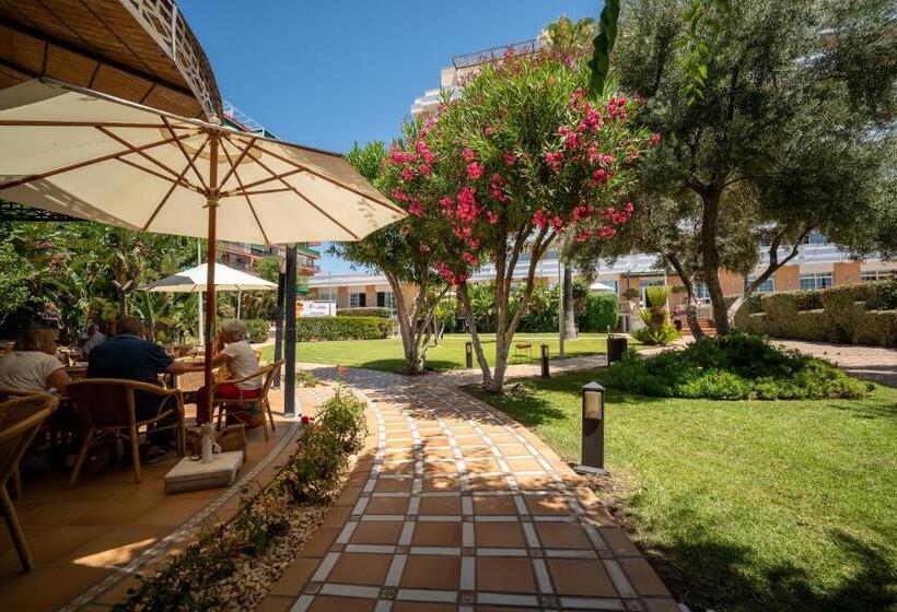 Отель Pato Amarillo