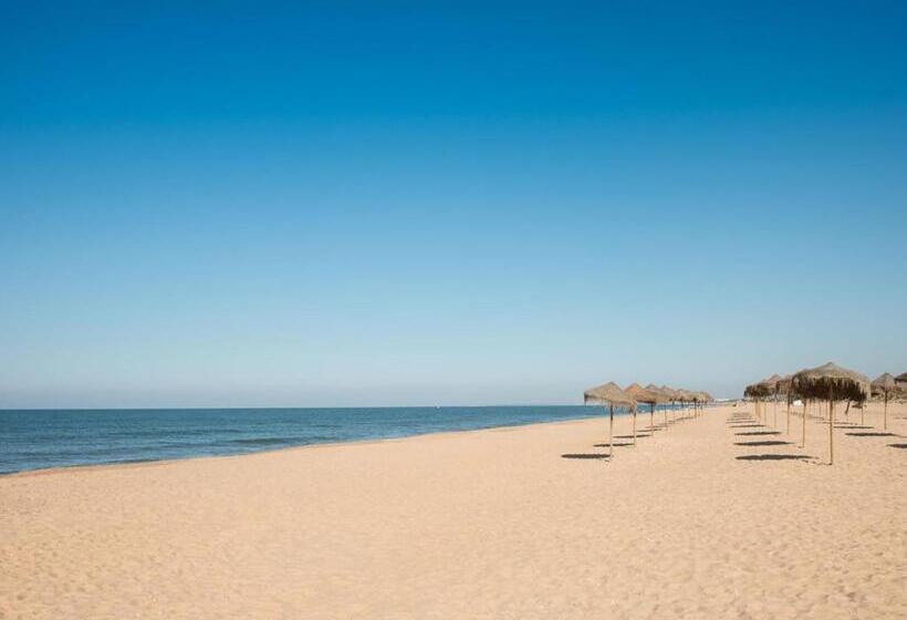 Отель Pato Amarillo