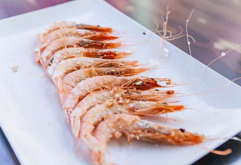 בית מלון כפרי Patricia