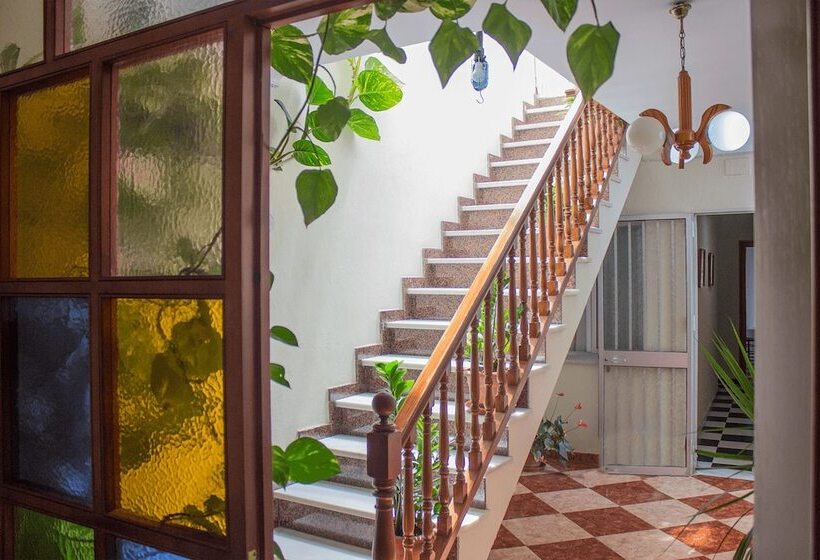 酒店 Pension Pinzapa