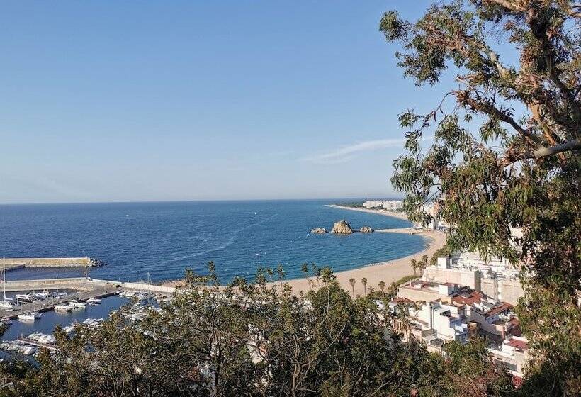 酒店 Petit Palau  Adults Only