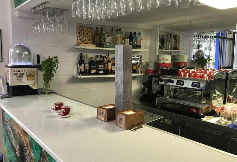 ホテル Playa San Cristóbal