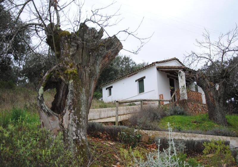 田舎風ホテル Finca Valbono Apartamentos Rurales Y