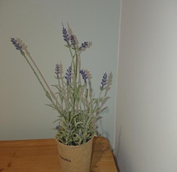 ホテル San Nikolas Sea Views