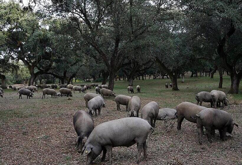 בית מלון כפרי Sierra De Aracena
