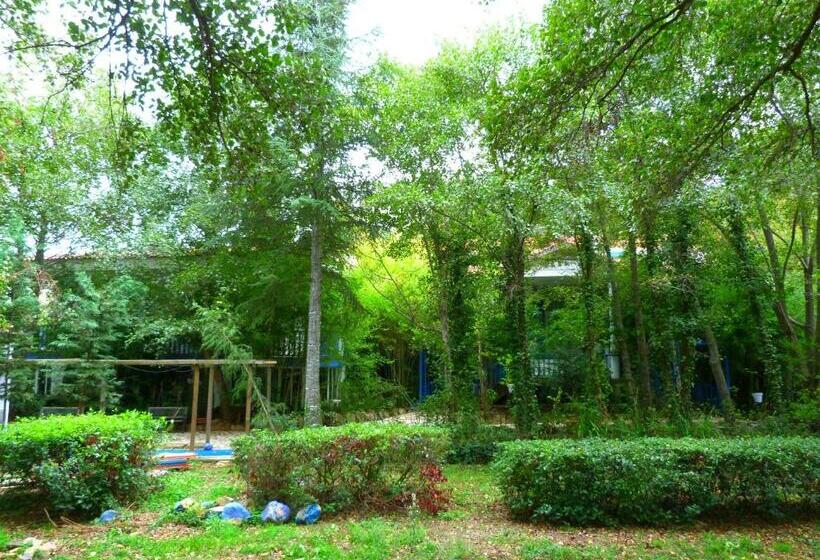 בית מלון כפרי Sierra Madrona