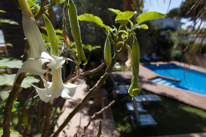 酒店 Soho Boutique Vistahermosa