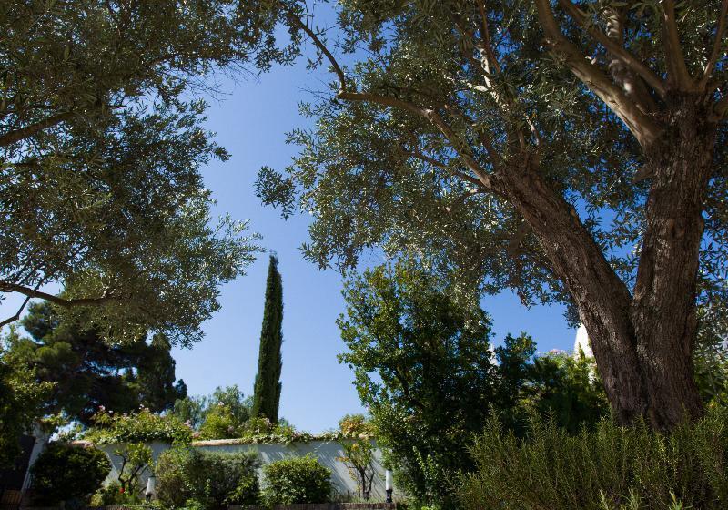 酒店 Soho Boutique Vistahermosa