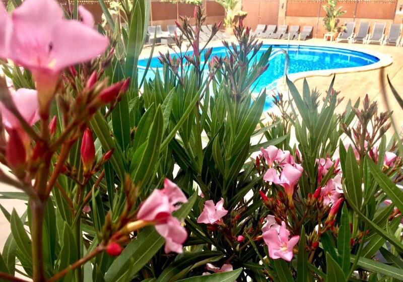 ホテル Stella Maris