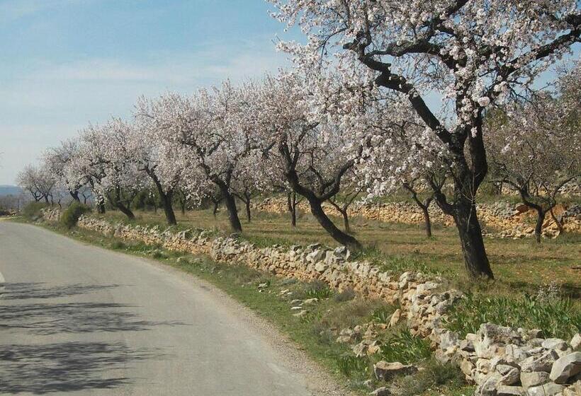 בית מלון כפרי Villa De Alquézar
