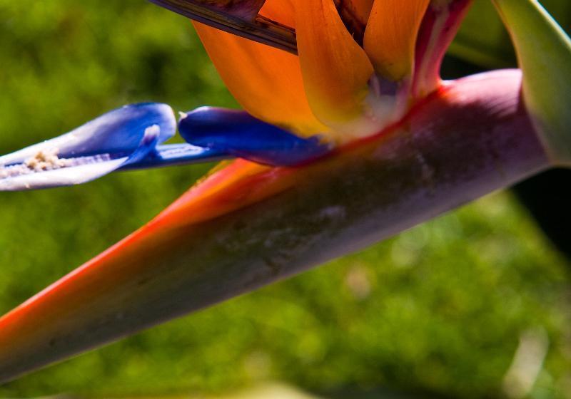 Aparthotel Cabicastro