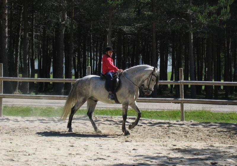 Apartamentos Galicia