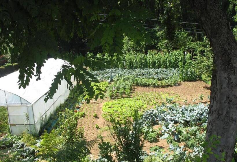 בית מלון כפרי A Veiga