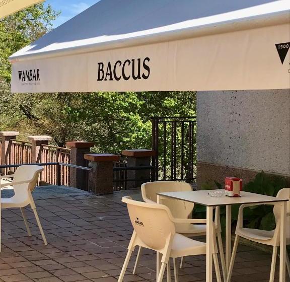 酒店 Baccus