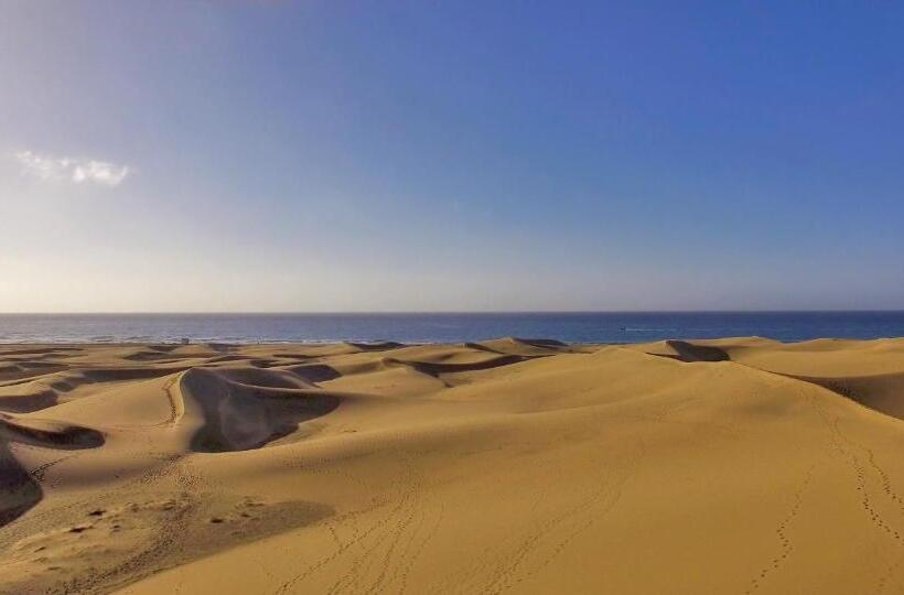 酒店 Bohemia Suites & Spa - Adults Only