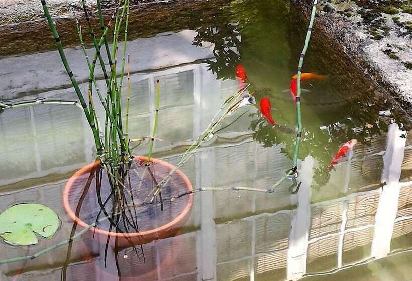 בית מלון כפרי Casa Grande De Trives