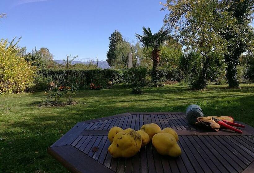 בית מלון כפרי Casa Grande De Trives