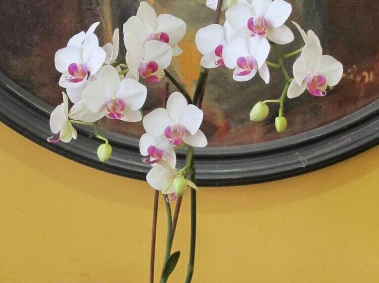 هتل Ciudad De Calahorra