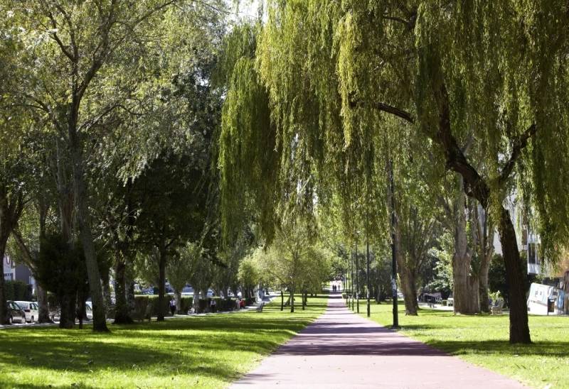 ホテル Coia De Vigo