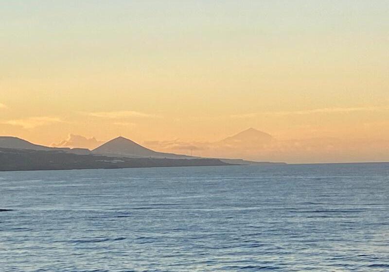 酒店 Cristina By Tigotan Las Palmas  Adults Only