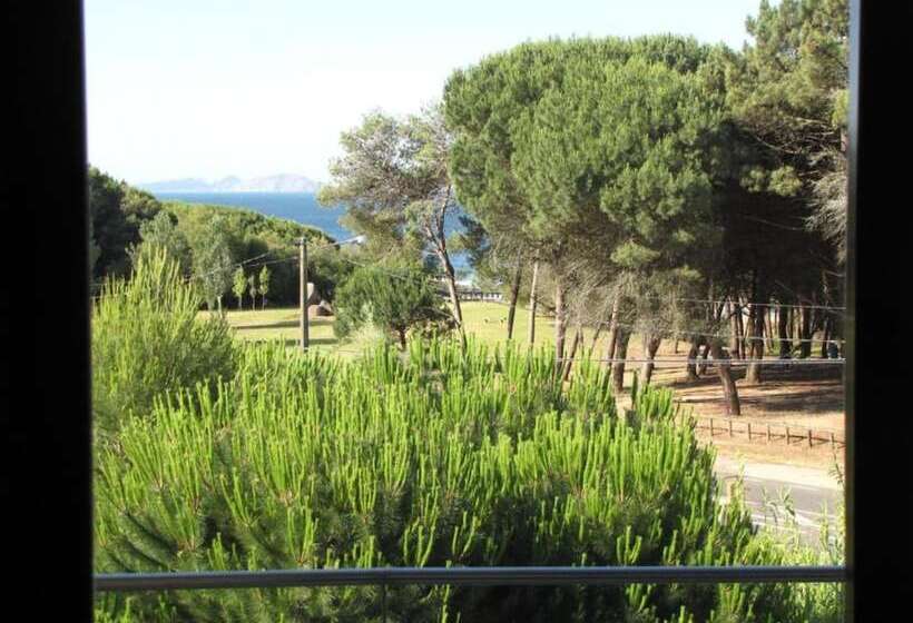 ホテル Duerming Montalvo Playa