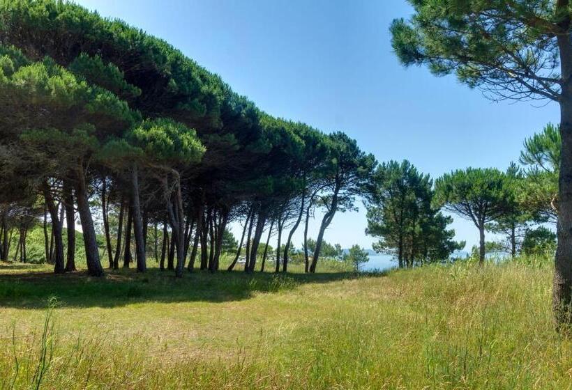 ホテル Duerming Montalvo Playa