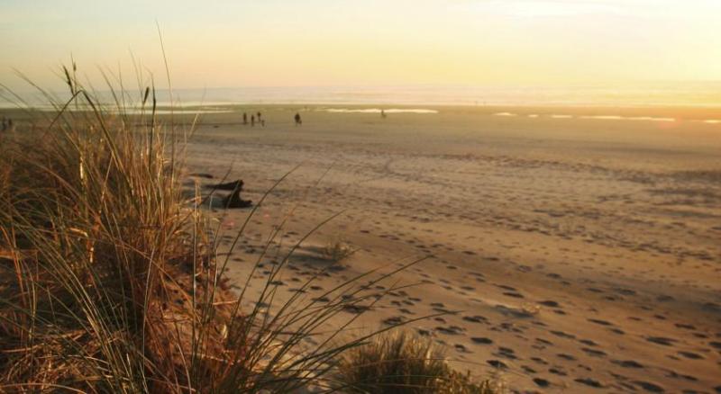 ホテル Duerming Montalvo Playa