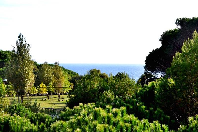 ホテル Duerming Montalvo Playa