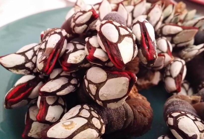 هتل Galaico Sanxenxo