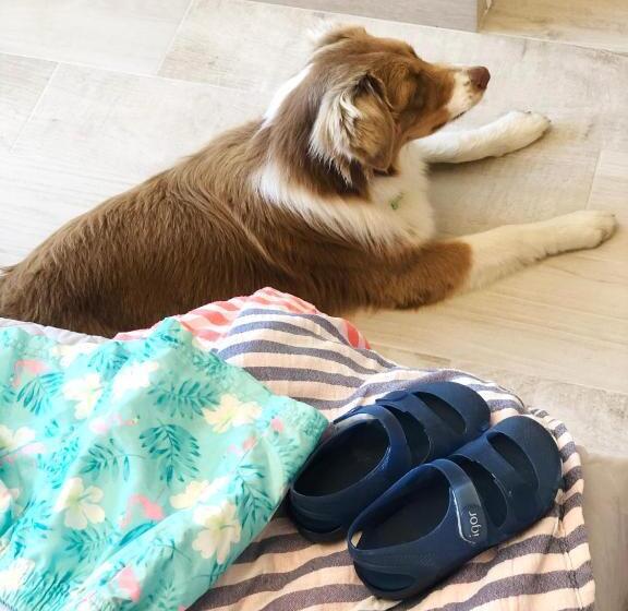 فندق Leal La Sirena