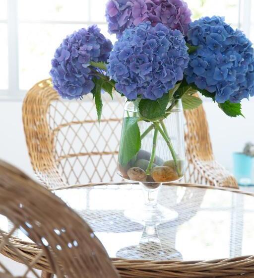 فندق Leal La Sirena