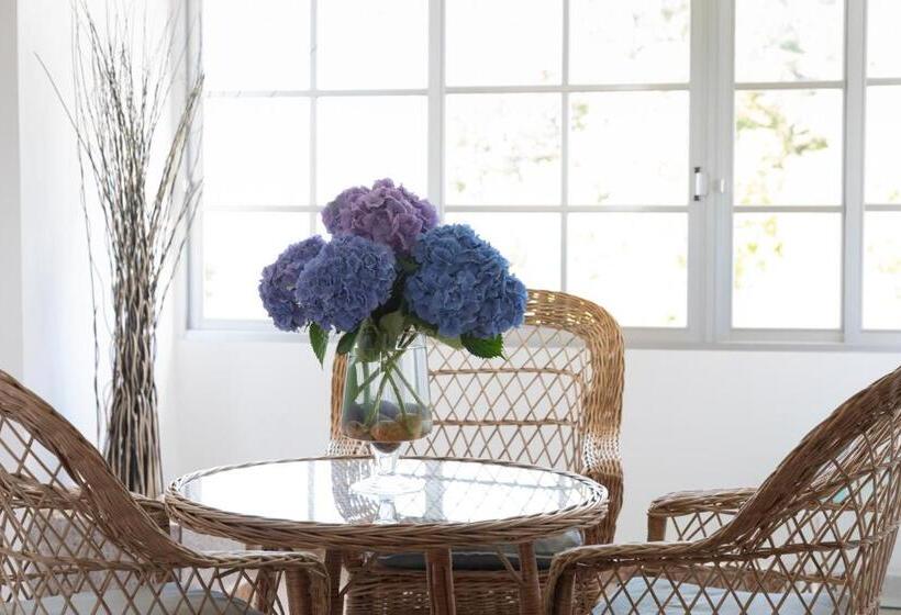 فندق Leal La Sirena