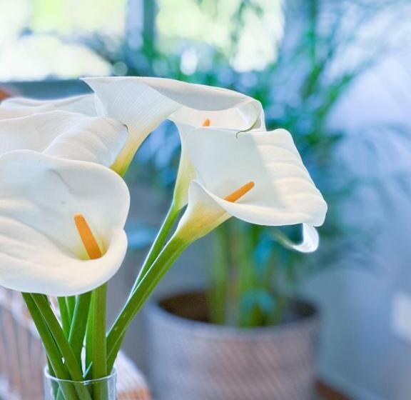 فندق Leal La Sirena