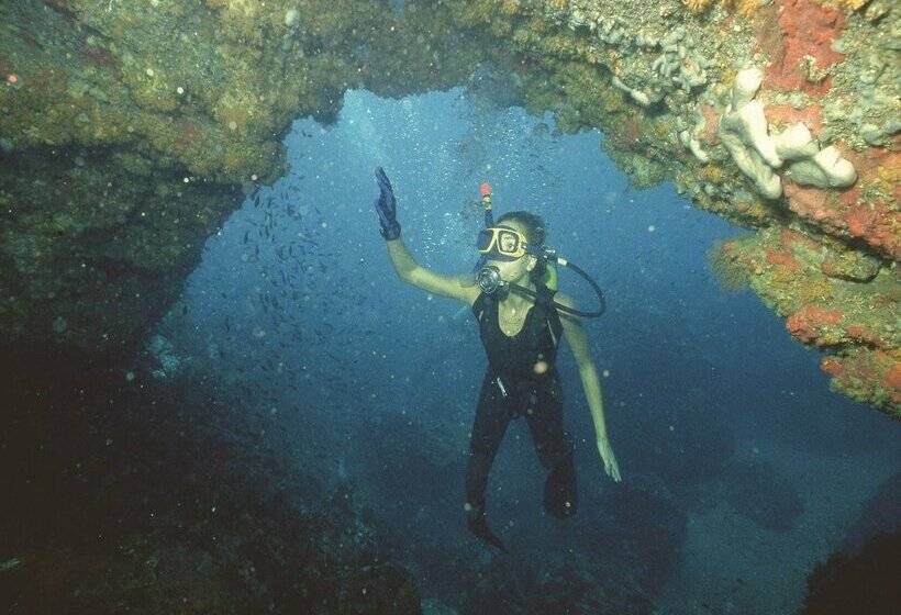 Отель Los Delfines