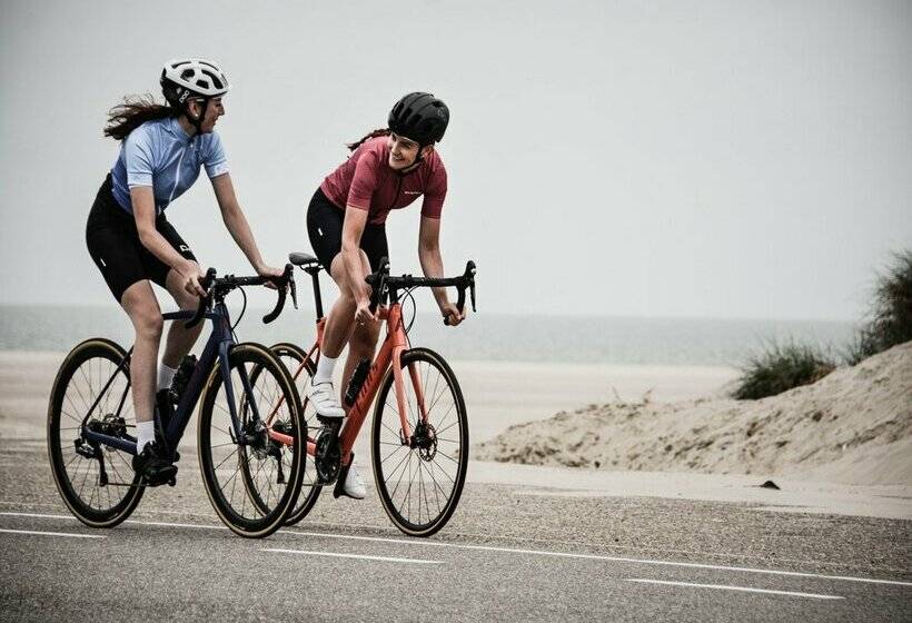 Отель Los Delfines