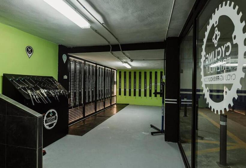 Отель Los Delfines