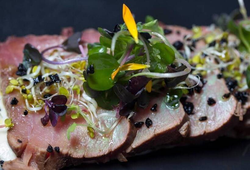 酒店 Los Habaneros