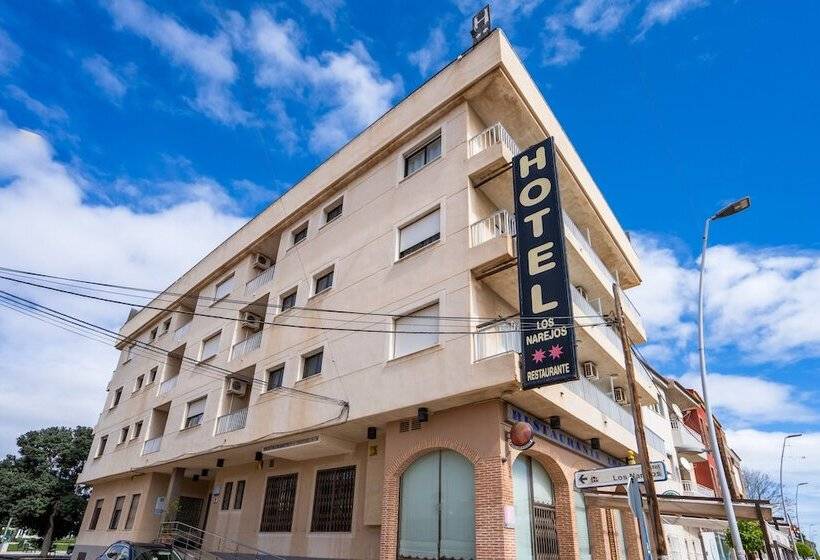 בית מלון כפרי Los Narejos