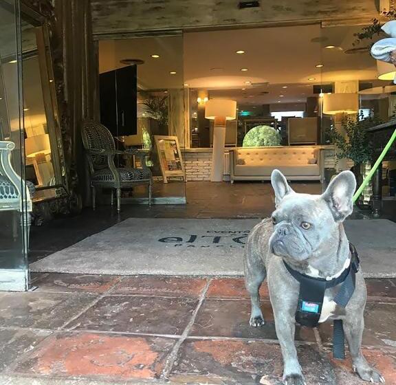 בית מלון כפרי Luze El Toro