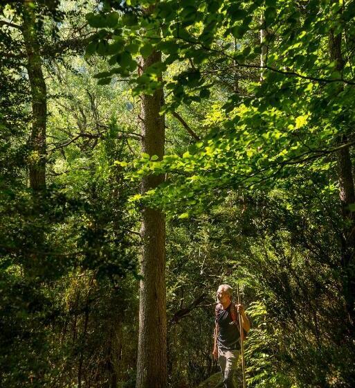 בית מלון כפרי Manantial