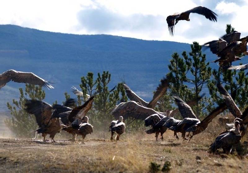 호텔 Marrodan Arnedillo