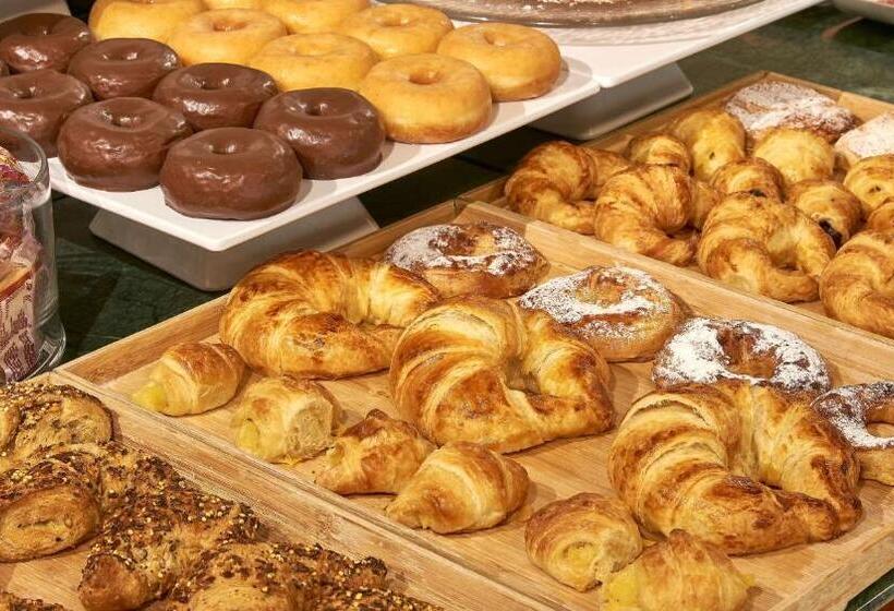 هتل NH Lleida Pirineos