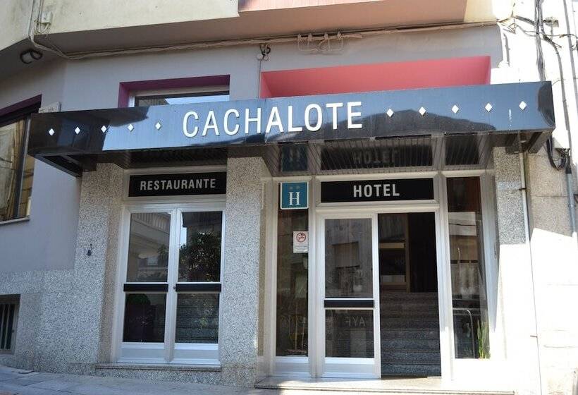 هتل Nuevo Cachalote