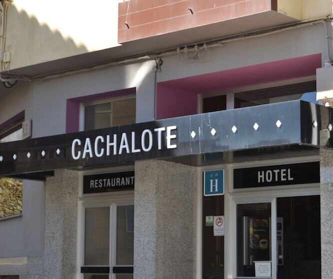هتل Nuevo Cachalote