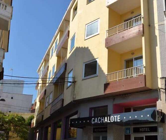 هتل Nuevo Cachalote