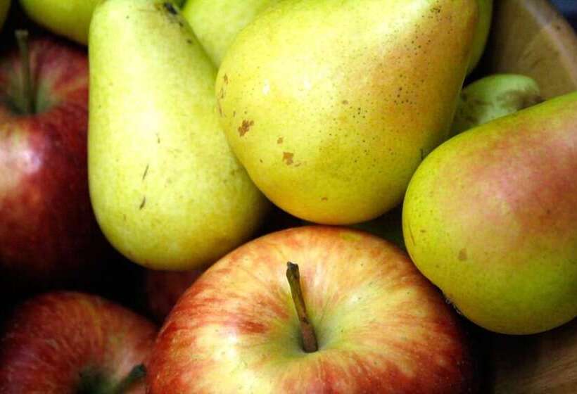 فندق Pacoche Murcia