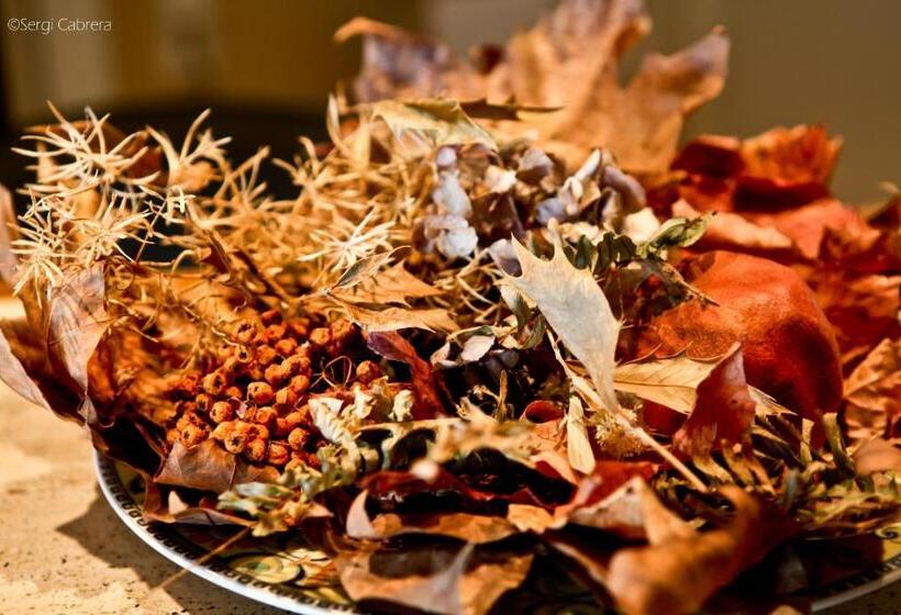 酒店 Pintor Marsà