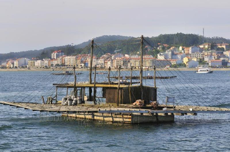 酒店 Puente De La Toja