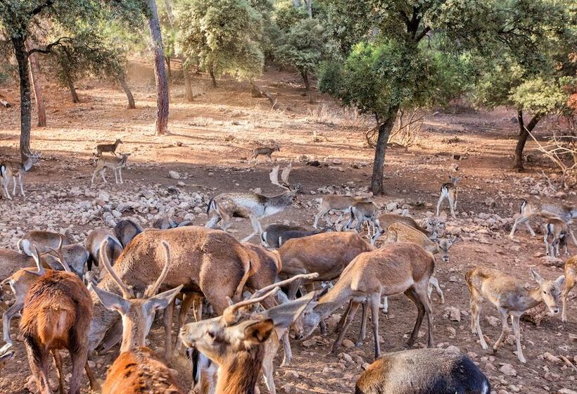 호텔 Rural Noguera De La Sierpe