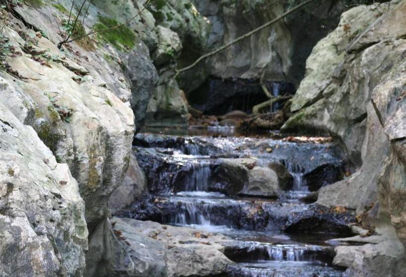 בית מלון כפרי Rural Bereau